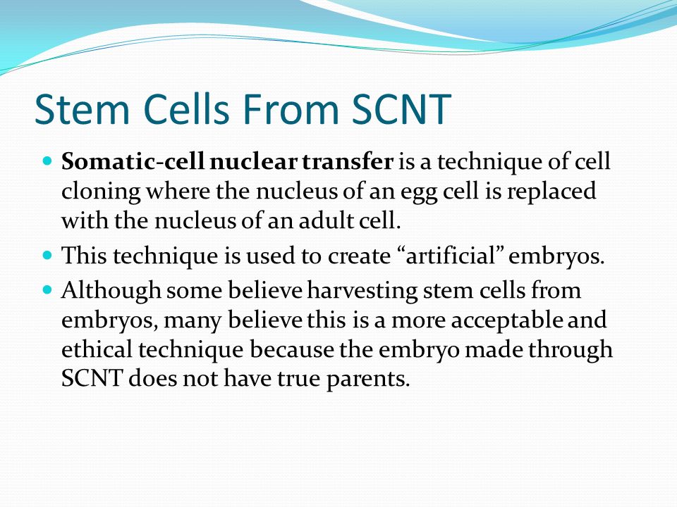 Stem Cells From SCNT Somatic-cell nuclear transfer is a technique of cell cloning where the nucleus of an egg cell is replaced with the nucleus of an adult cell.