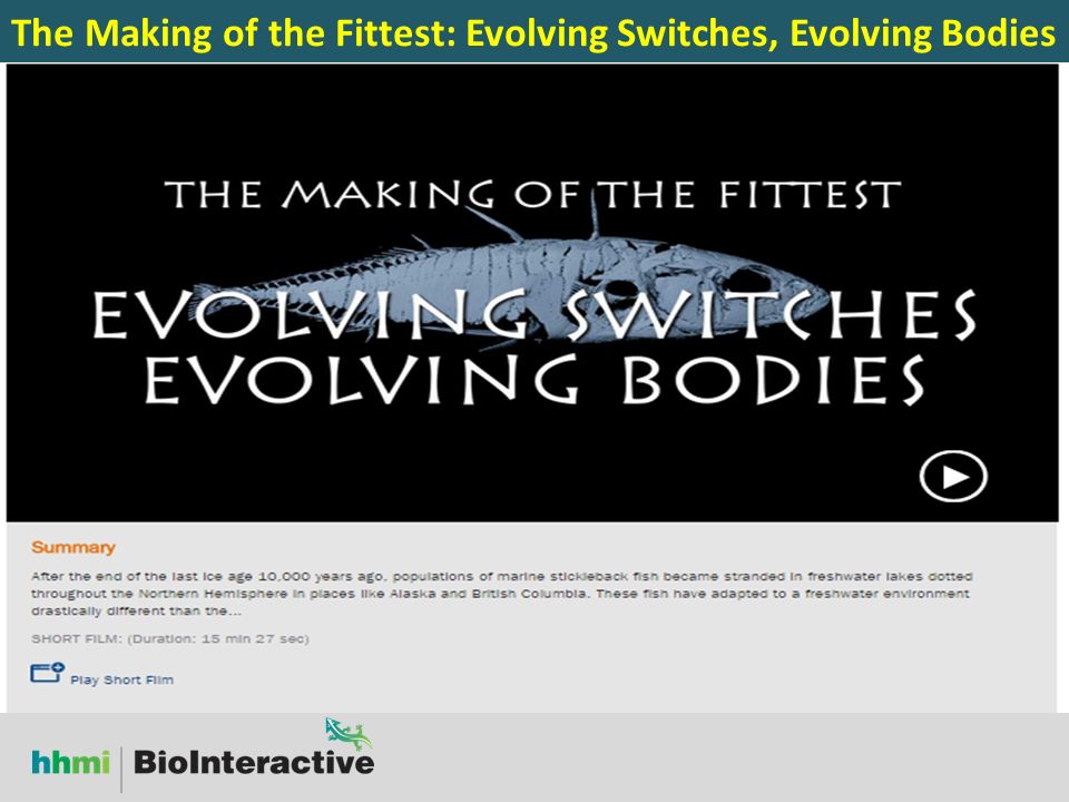 The Making Of The Fittest Evolving Switches Evolving Bodies Tim Guilfoyle Phillip O. Berry Academy Charlotte, NC Tired of Mendel