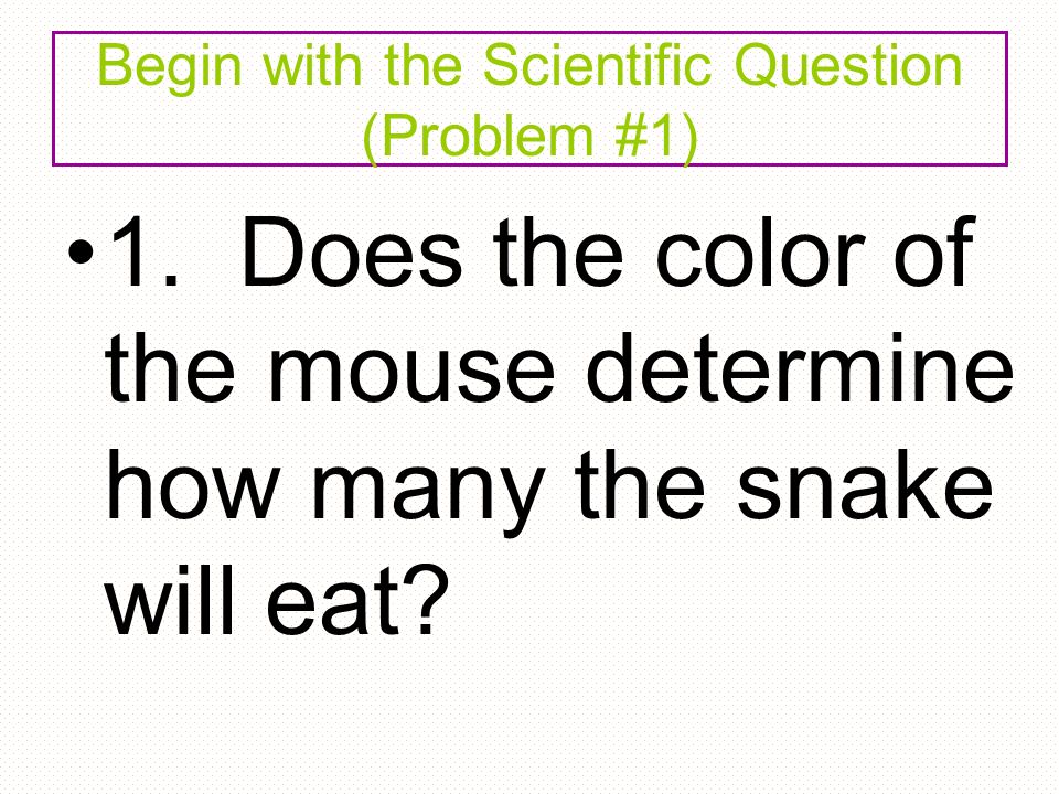 1. Does the color of the mouse determine how many the snake will eat.