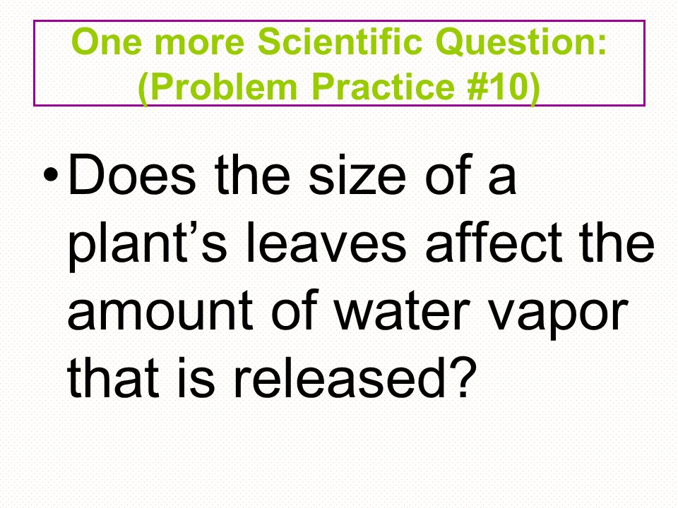 One more Scientific Question: (Problem Practice #10) Does the size of a plant’s leaves affect the amount of water vapor that is released