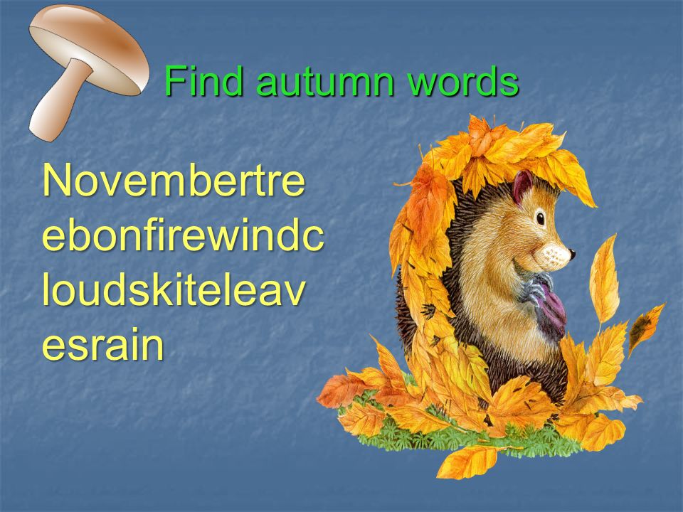 Autumn words. 11 Autumn Words. Autumn Words Rain Fox.