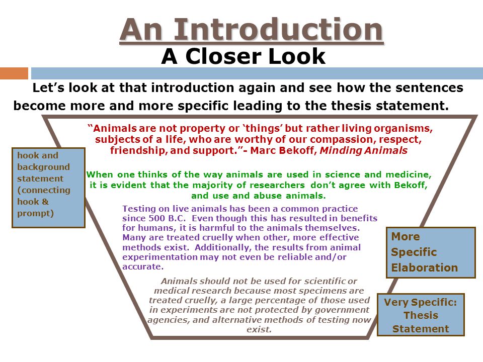 An Introduction A Closer Look Let’s look at that introduction again and see how the sentences become more and more specific leading to the thesis statement.