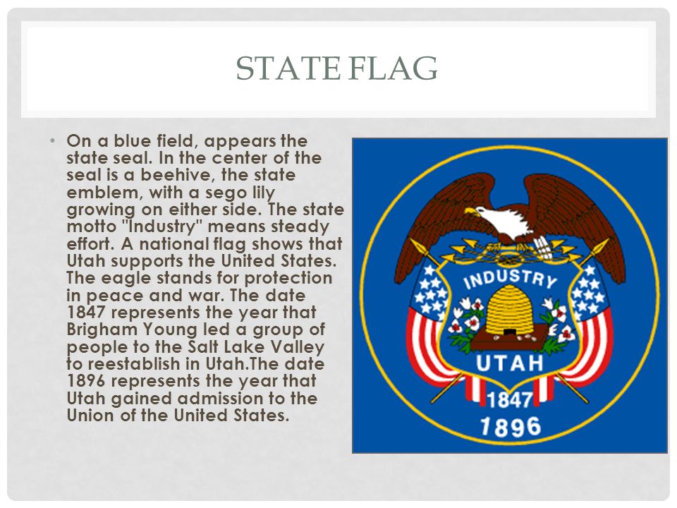STATE FLAG On a blue field, appears the state seal.