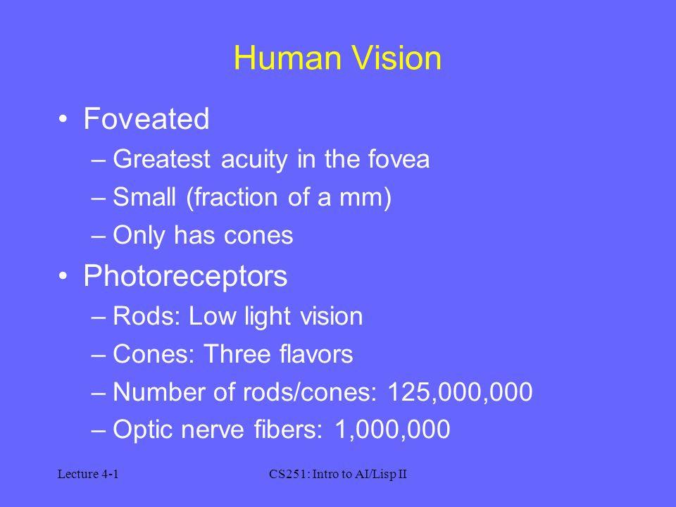 Lecture 4-1CS251: Intro to AI/Lisp II Human Vision Foveated –Greatest acuity in the fovea –Small (fraction of a mm) –Only has cones Photoreceptors –Rods: Low light vision –Cones: Three flavors –Number of rods/cones: 125,000,000 –Optic nerve fibers: 1,000,000