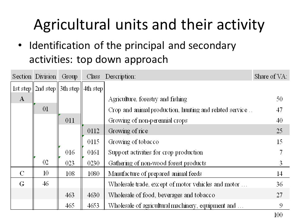 Agricultural units and their activity Identification of the principal and secondary activities: top down approach