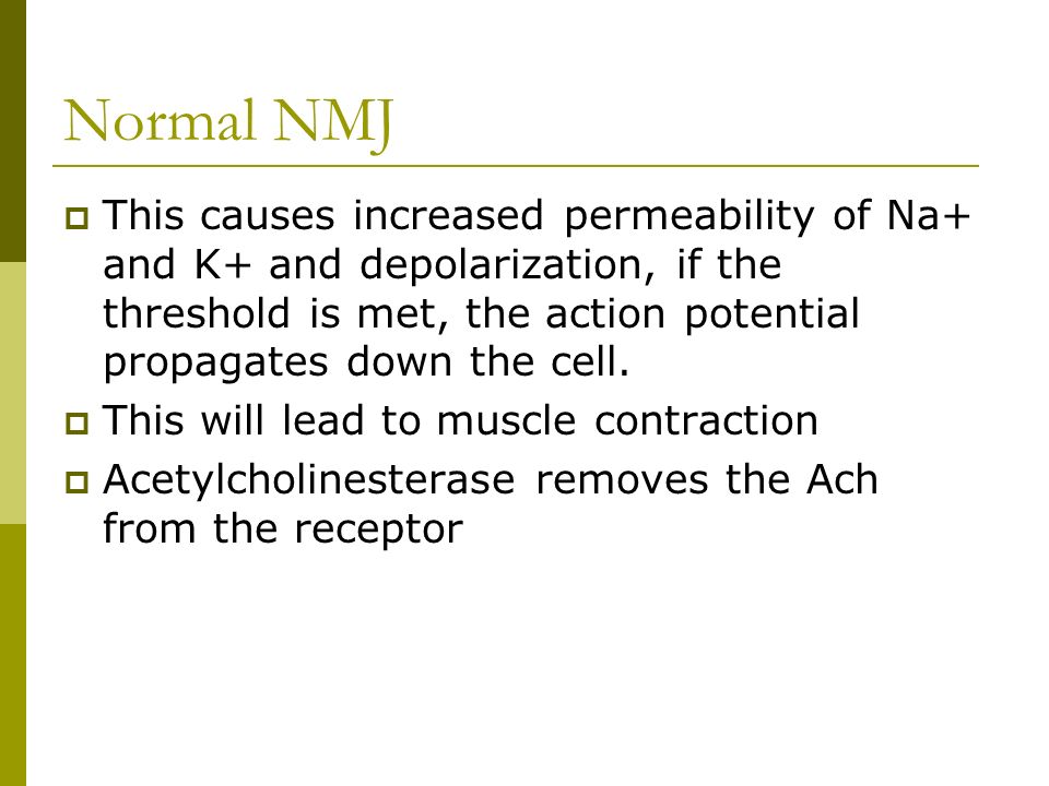 Normal NMJ  This causes increased permeability of Na+ and K+ and depolarization, if the threshold is met, the action potential propagates down the cell.