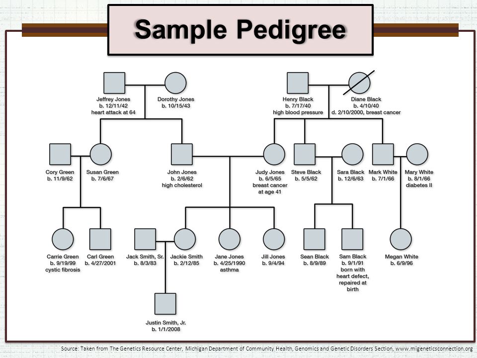 Asthma Pedigree Chart