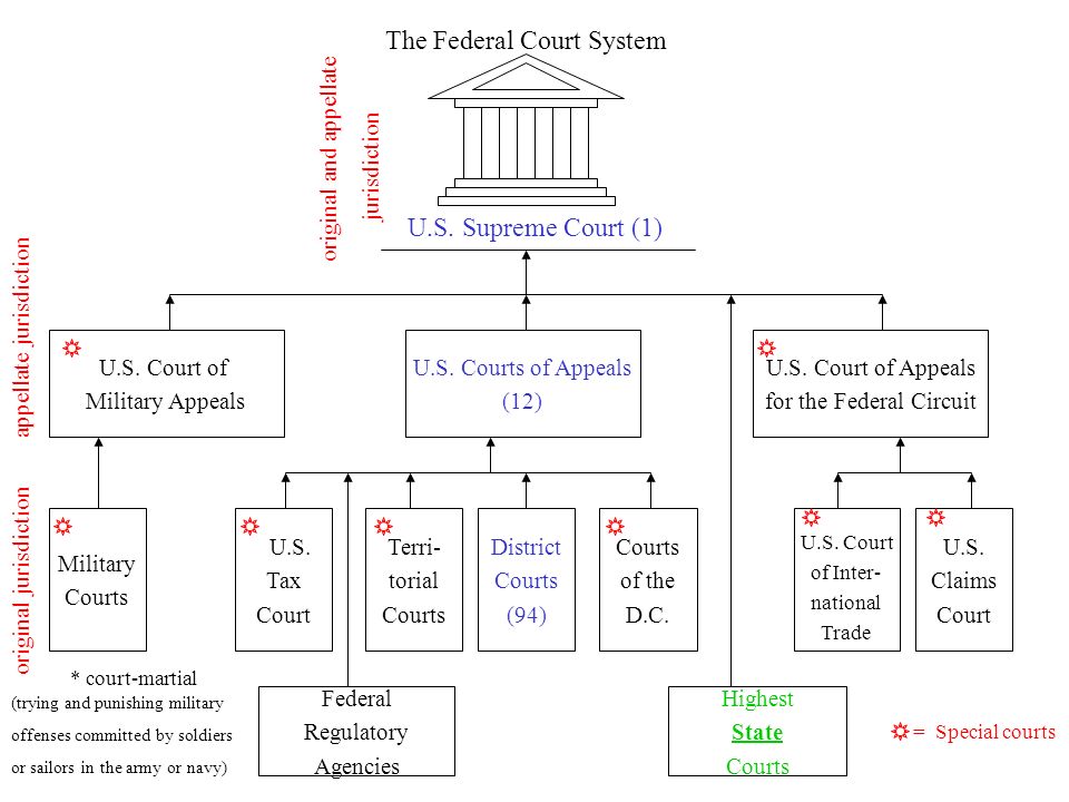 Us Federal Court System Chart