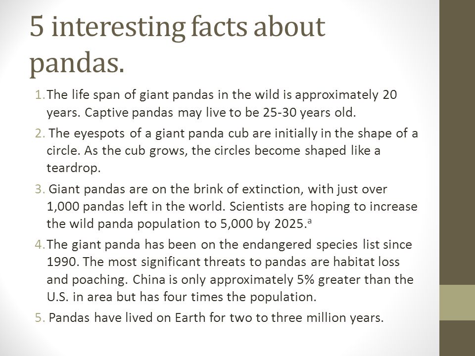 Changing environments and endangered species. 5 interesting facts about  pandas.  life span of giant pandas in the wild is approximately 20  years. - ppt download