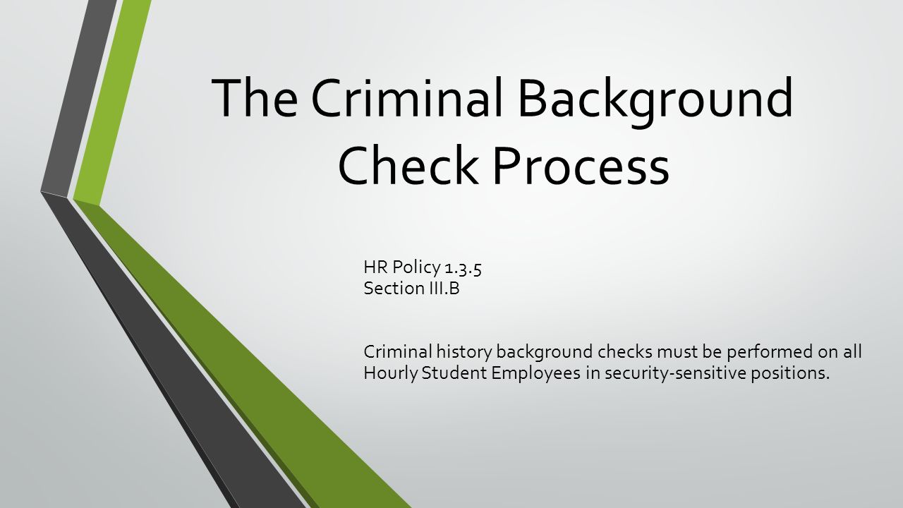 criminal background checks and student employees