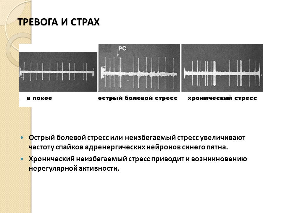 Повышенная частота