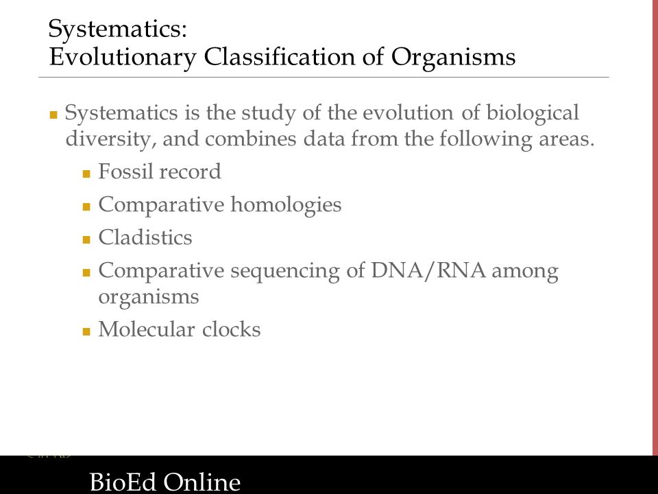 BioEd Online Diversity Of Life: Introduction To Biological ...