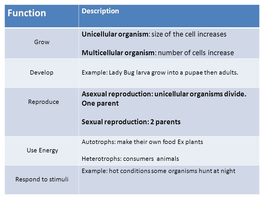 Function Description Grow Unicellular organism: size of the cell increases Multicellular organism: number of cells increase DevelopExample: Lady Bug larva grow into a pupae then adults.