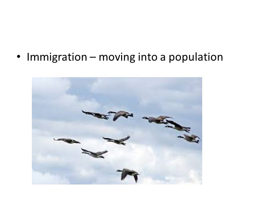 Immigration – moving into a population