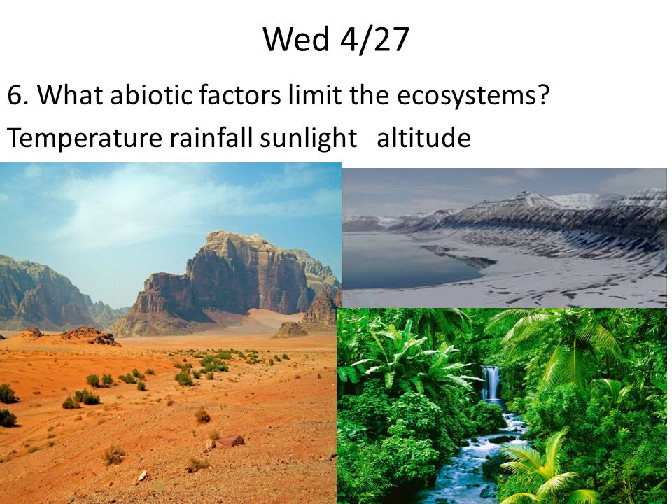 Wed 4/27 6. What abiotic factors limit the ecosystems Temperature rainfall sunlight altitude