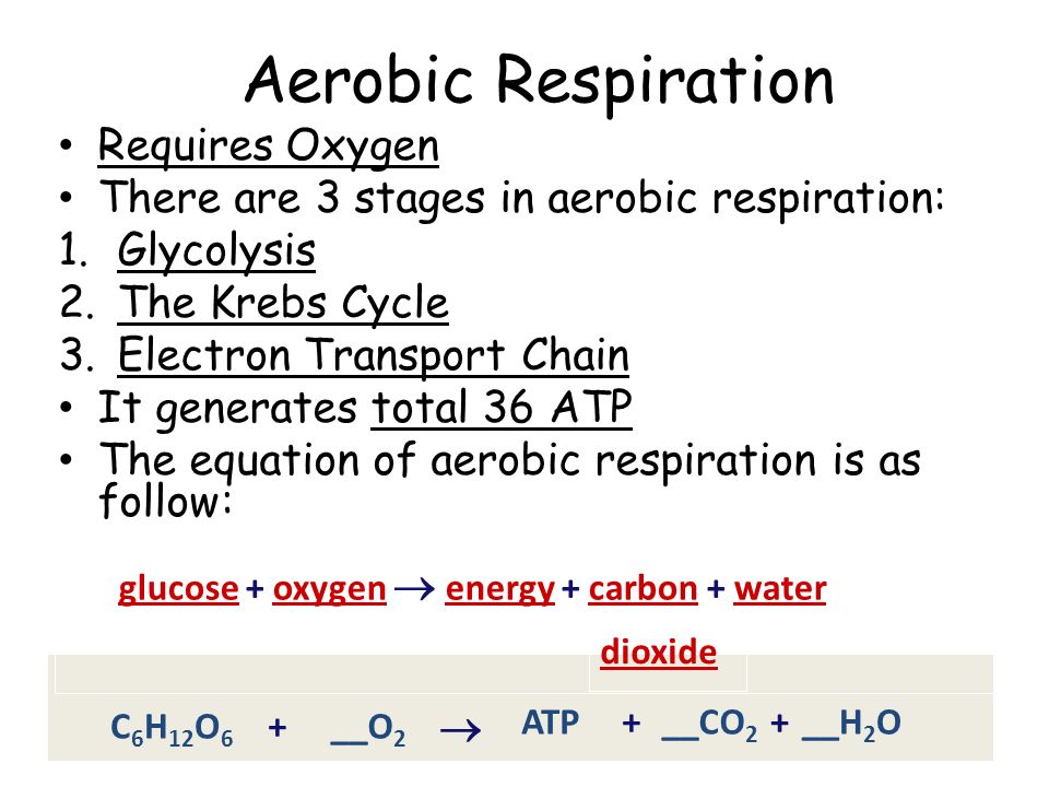 Aerobic respiration requires online