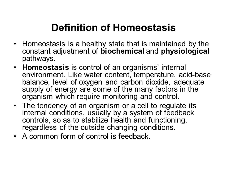 Homeostasis meaning