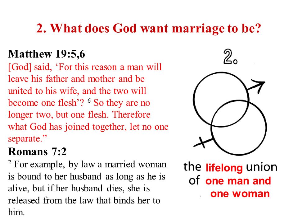 The Sixth Commandment God S Gift Of Marriage You Shall Not Commit Adultery What Does This Mean We Should Fear And Love God That We Lead A Pure And Ppt Download
