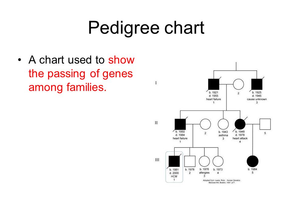 Asthma Pedigree Chart