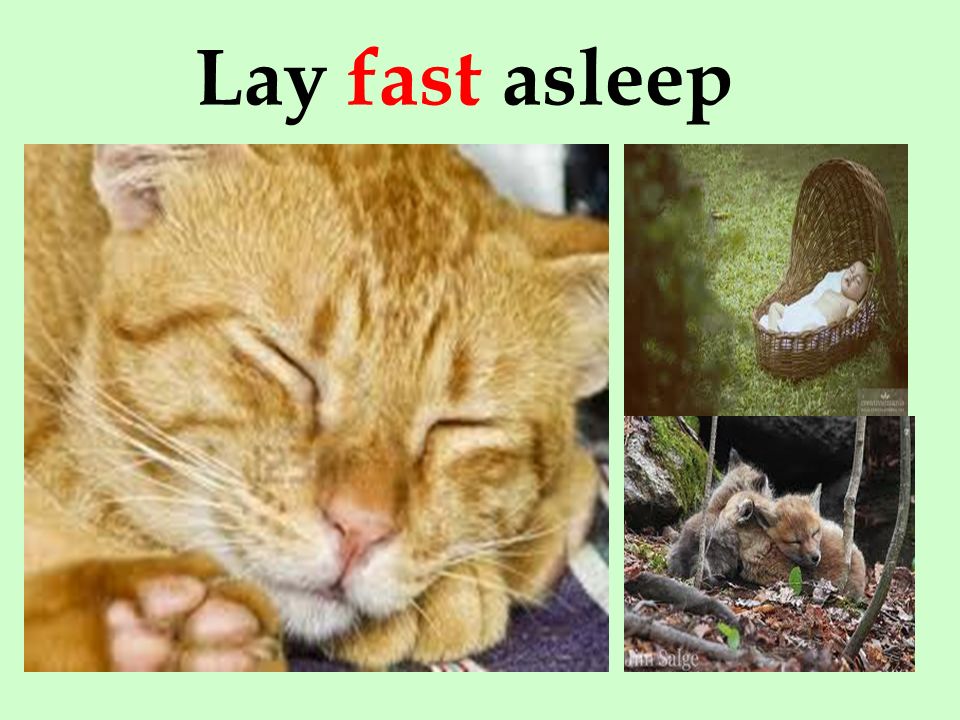 Lay fast asleep
