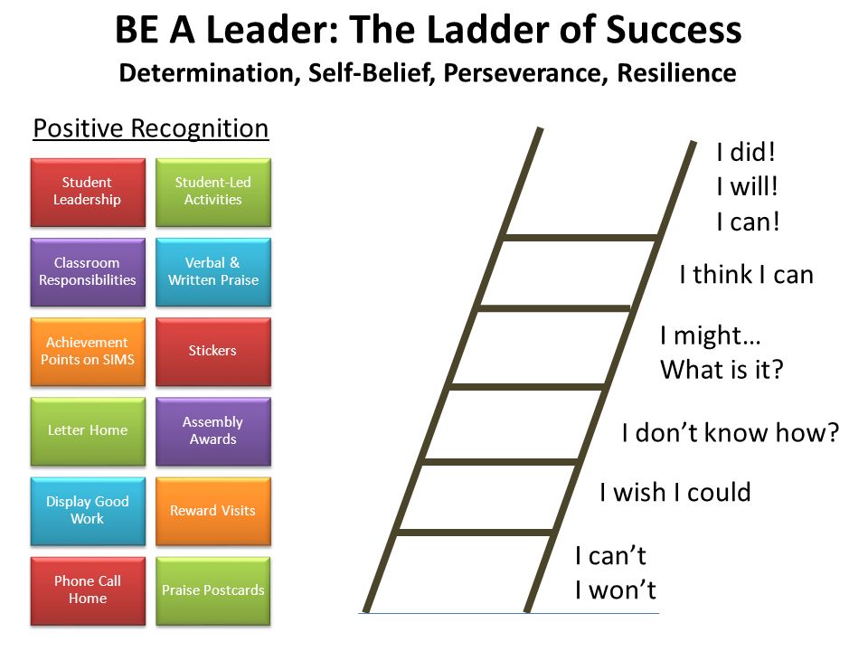 BE A Leader: The Ladder of Success Determination, Self-Belief, Perseverance