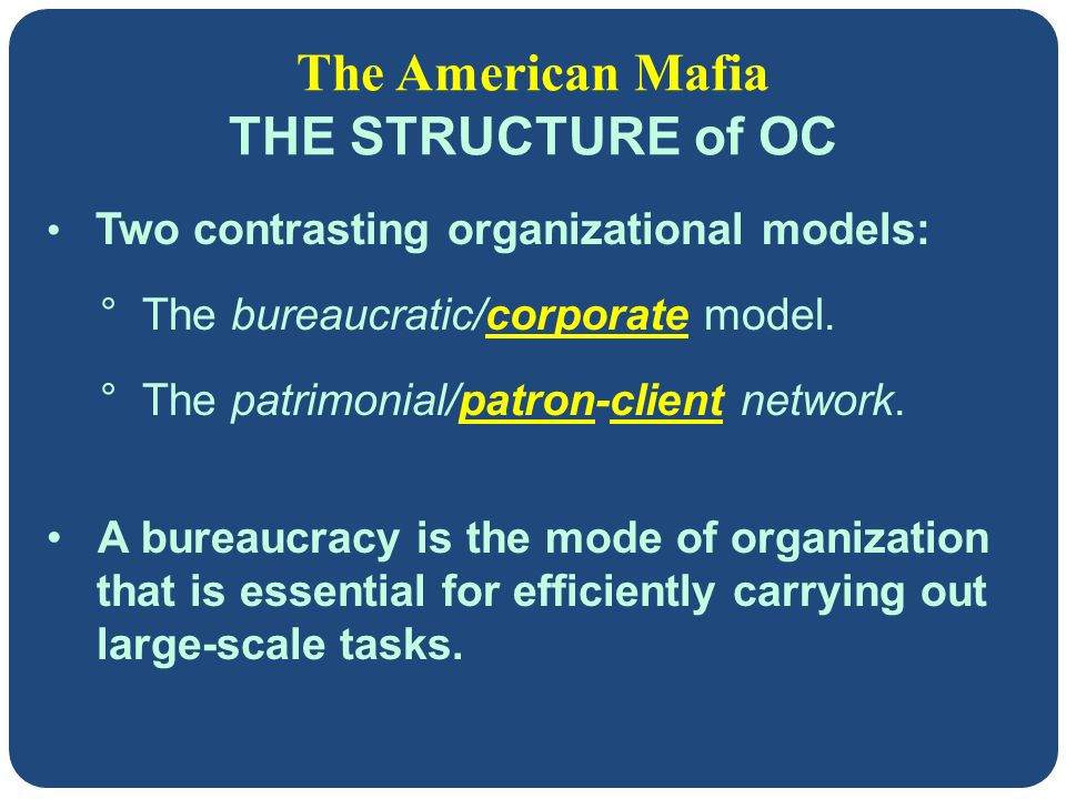 distinctions between bureaucratic and patron client organizations
