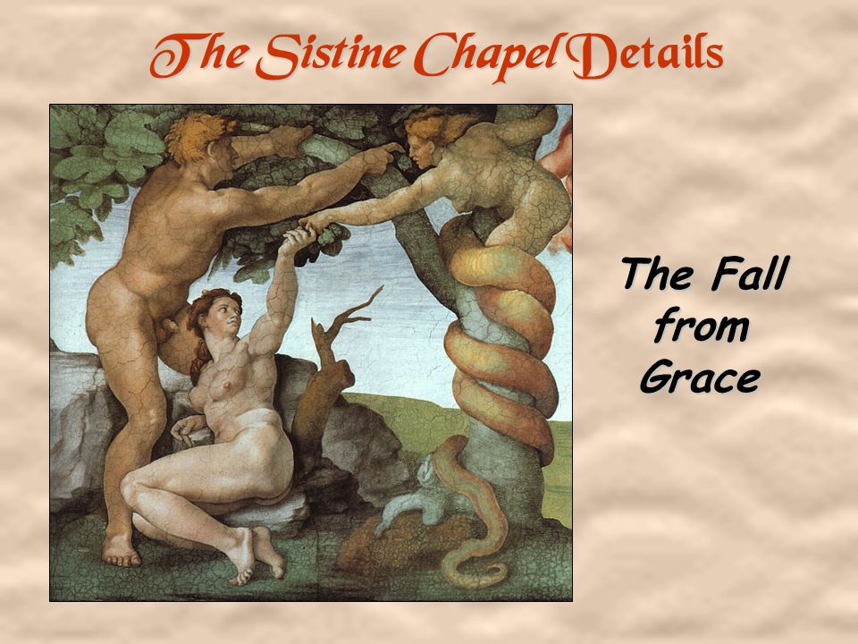 The Sistine Chapel Details Creation of Man