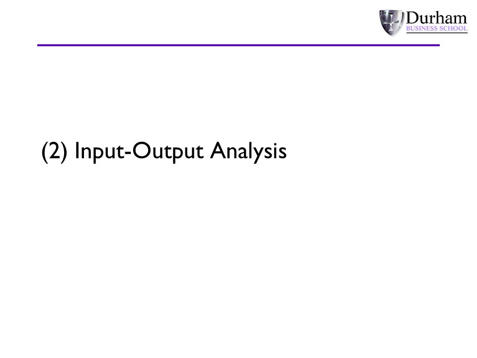 (2) Input-Output Analysis