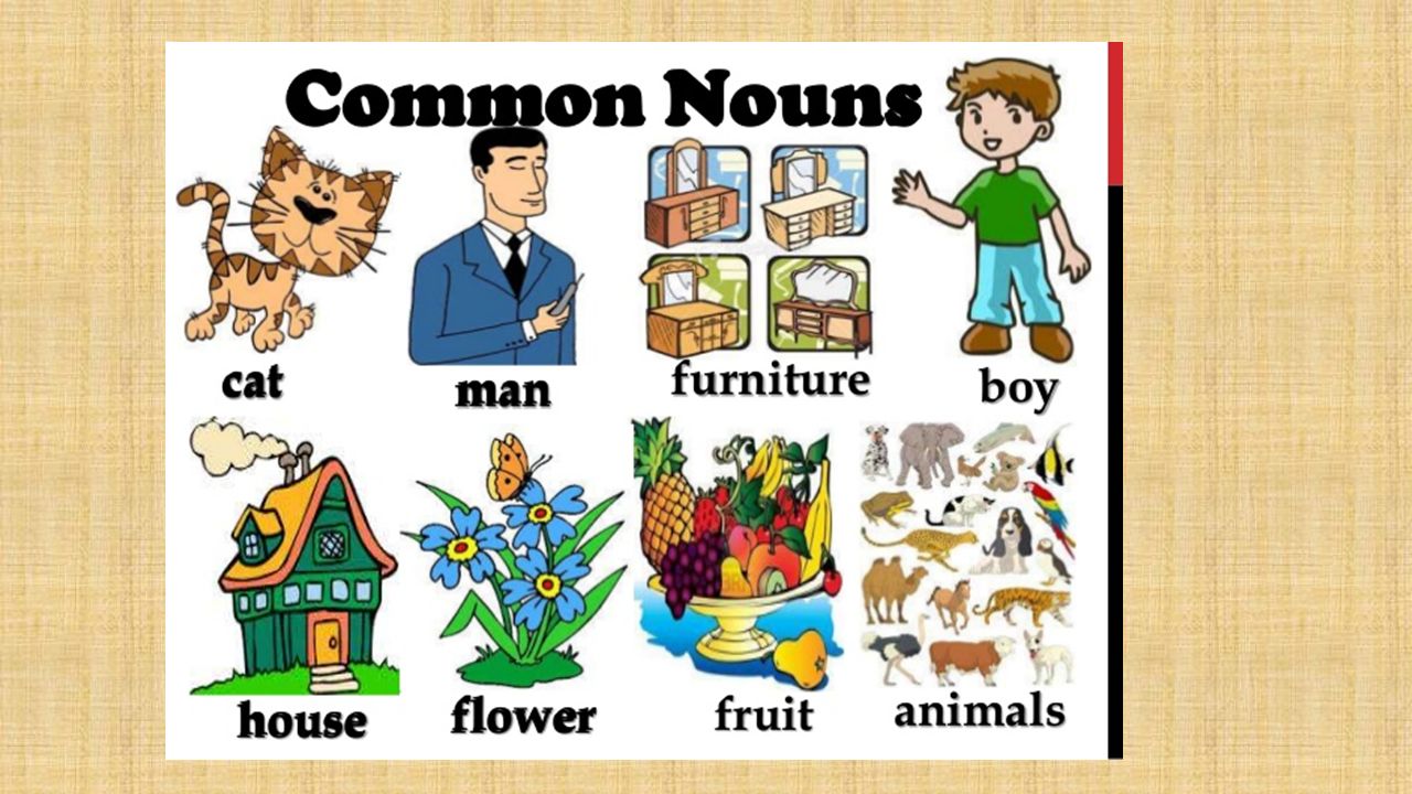 Nouns pictures. Common Nouns. Common Nouns examples. Common Noun of Noun. Proper Nouns.