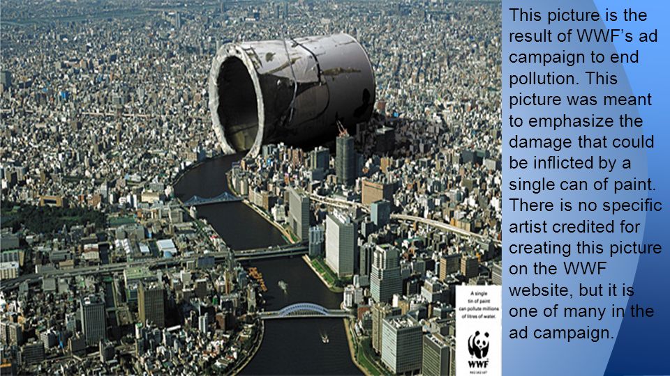 This picture is the result of WWF’s ad campaign to end pollution.