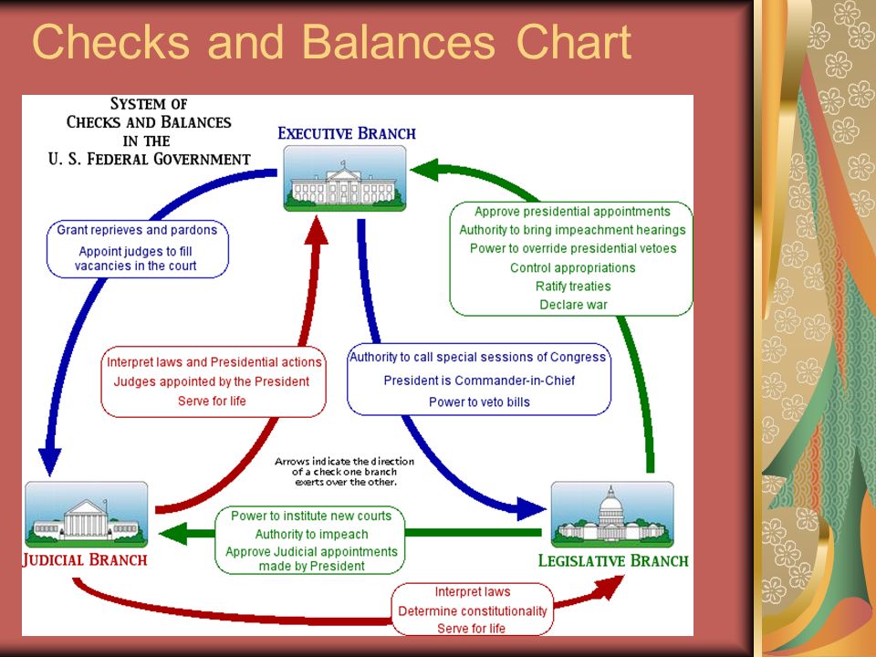 checks and balances chart