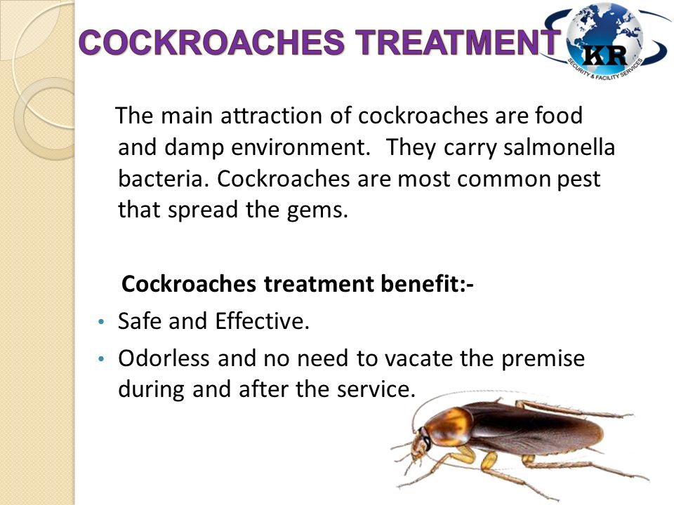 The main attraction of cockroaches are food and damp environment.