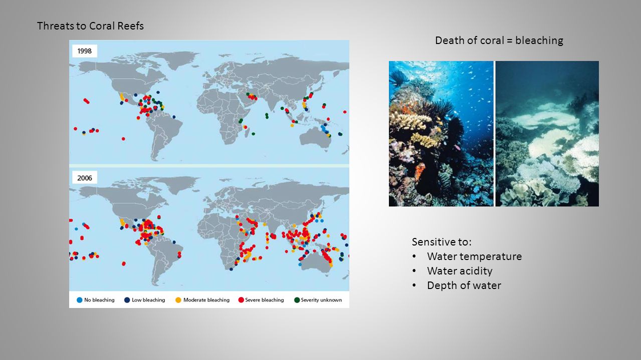Threats to Coral Reefs Sensitive to: Water temperature Water acidity Depth of water Death of coral = bleaching