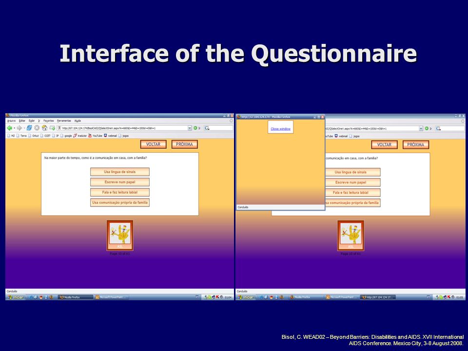 Interface of the Questionnaire Bisol, C. WEAD02 – Beyond Barriers: Disabilities and AIDS.