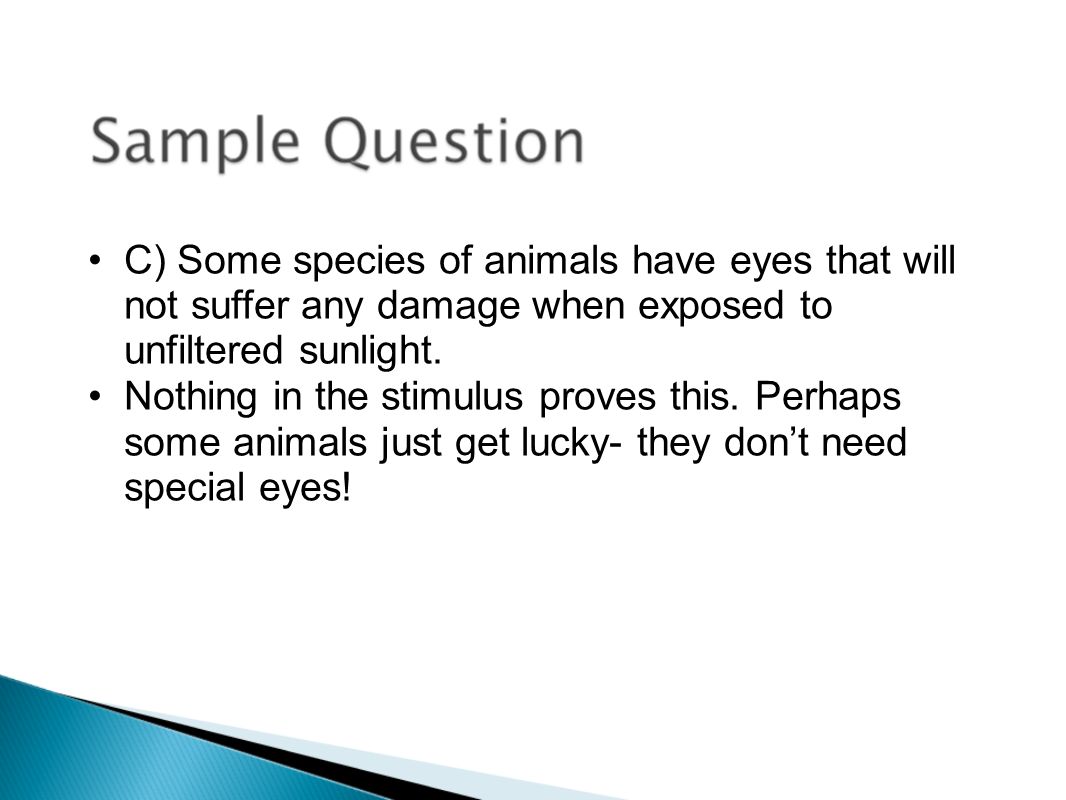 C) Some species of animals have eyes that will not suffer any damage when exposed to unfiltered sunlight.