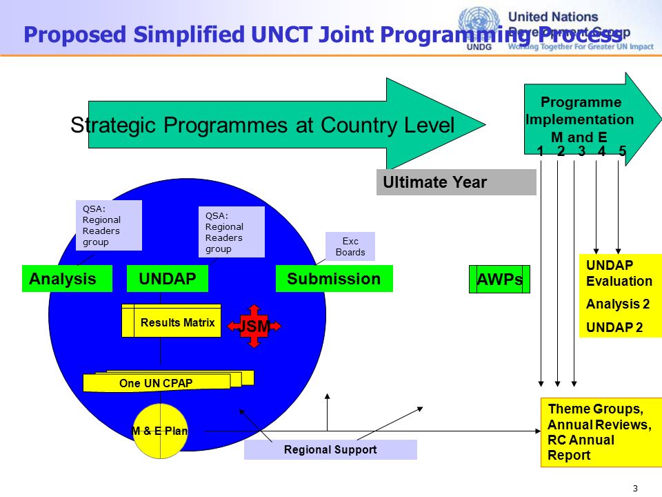 1 UN Common Country Programming Process in Support of National Plans