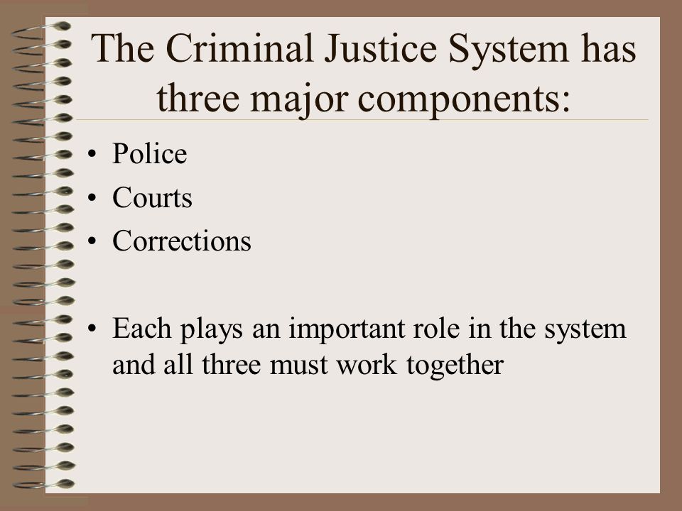 role of the courts in the criminal justice system