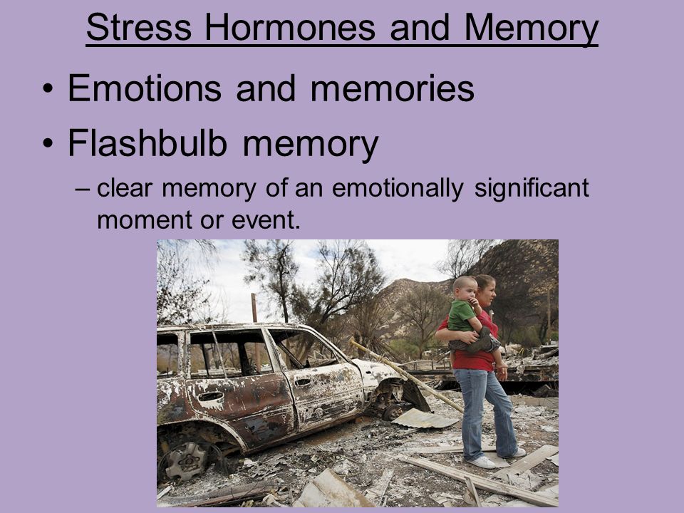 Stress Hormones and Memory Emotions and memories Flashbulb memory –clear memory of an emotionally significant moment or event.