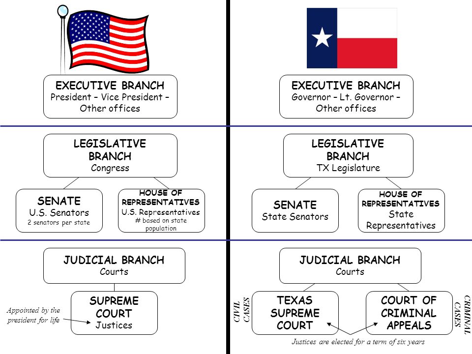 texas constitution executive branch