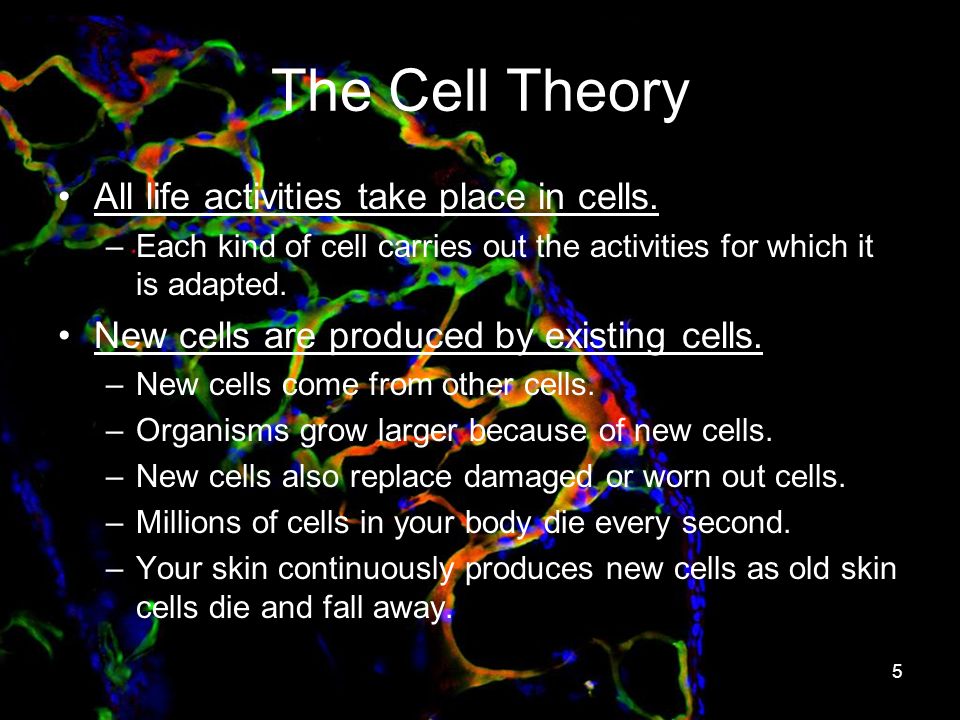 1 Cells Genetics And Heredity Unit A Chapter 1 Mr