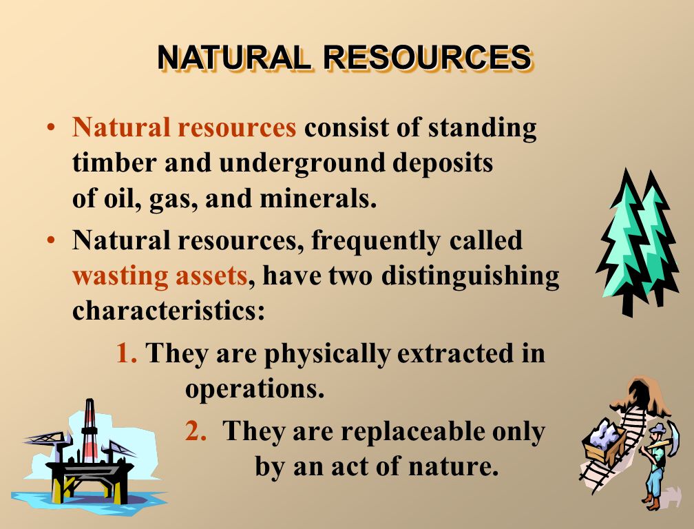 Natural resources consist of standing timber and underground deposits of oil, gas, and minerals.