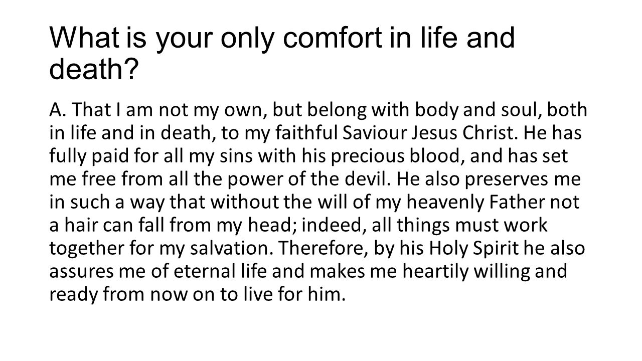 Heidelberg Catechism A Summary What Is Your Only Comfort In Life