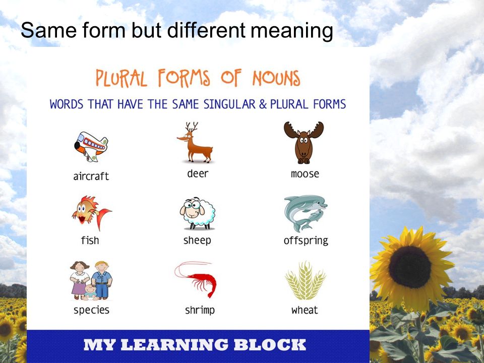Plural nouns. A plural noun is a word that: Indicates that there is more  than one person, animal, thing, or idea. When you talk about more than one  of. - ppt download