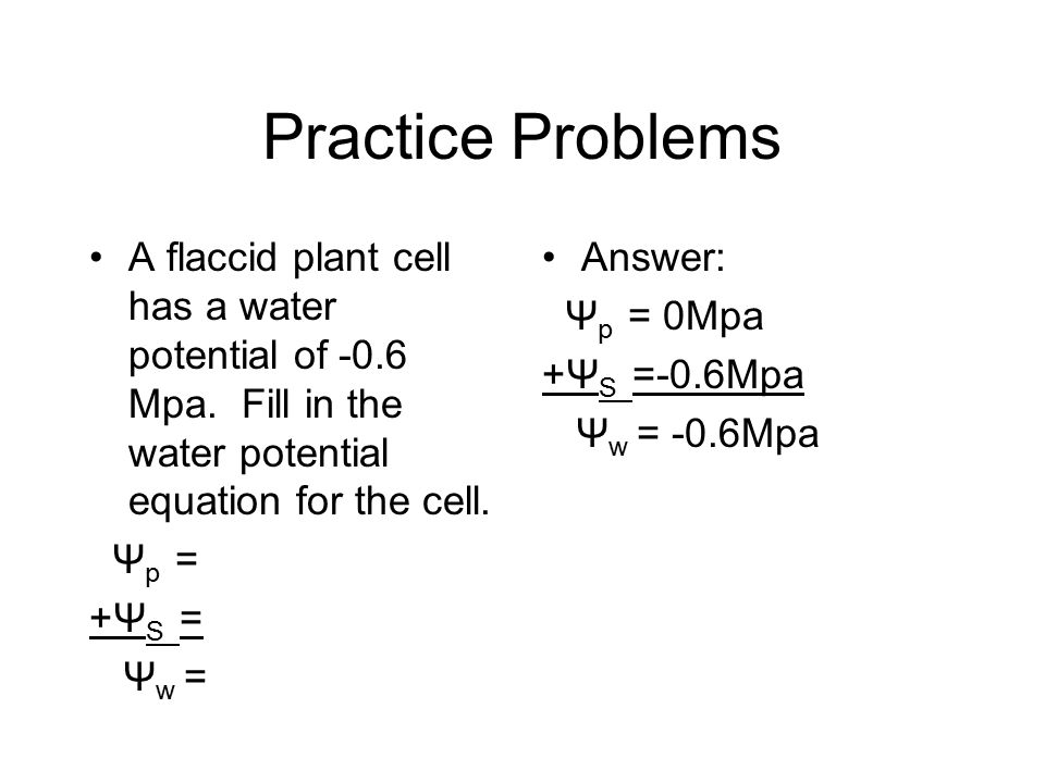 Water Potential Notes Osmotic issues in plants cells. - ppt download