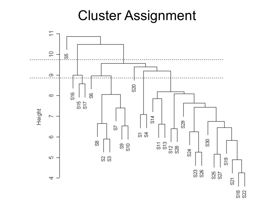 Cluster Assignment