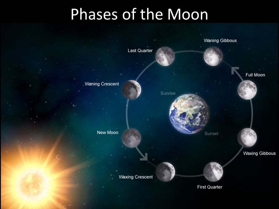 Продолжительность дня луны. Фазы Луны. Цикл лунных фаз. Расположение планет в полнолуние. Фазы Луны и солнца.