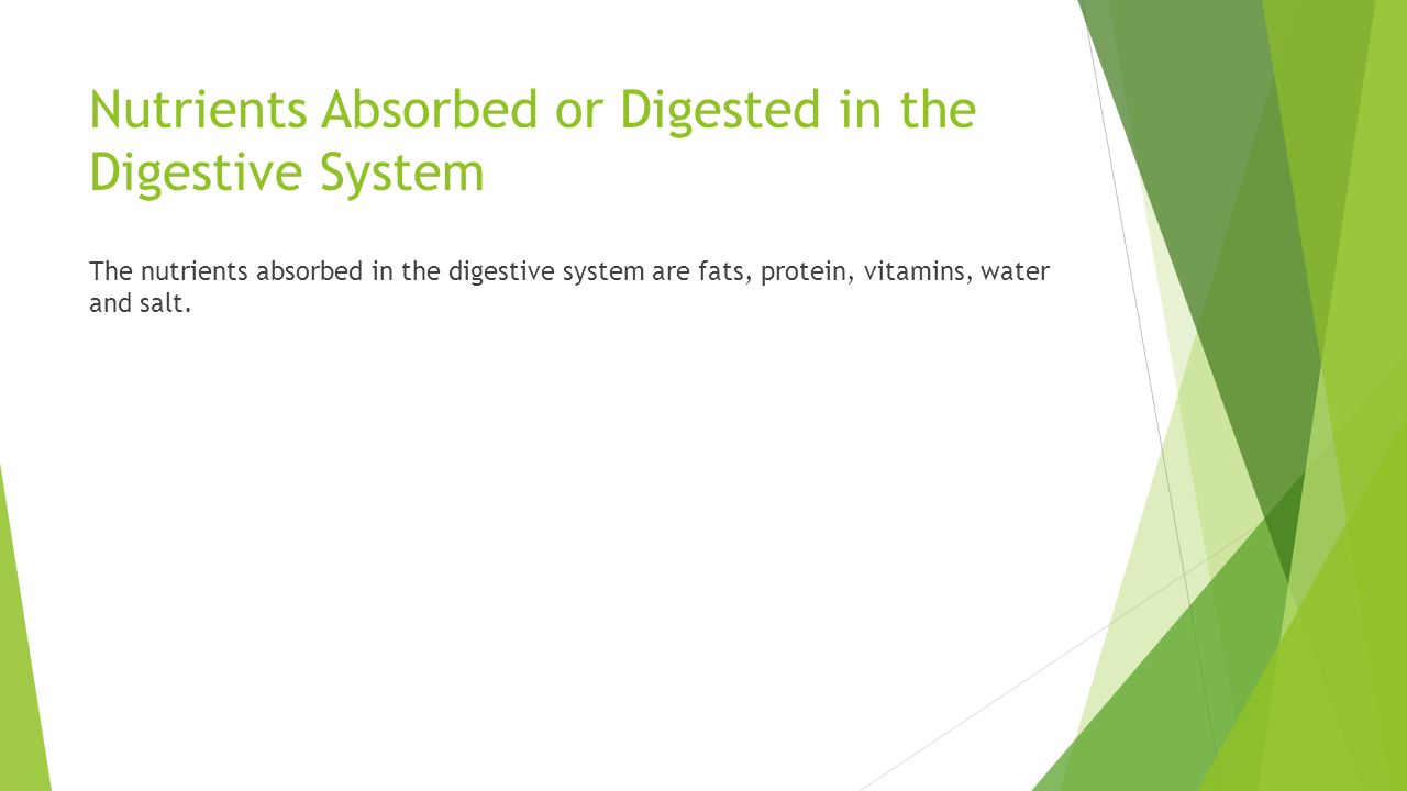 Nutrients Absorbed or Digested in the Digestive System The nutrients absorbed in the digestive system are fats, protein, vitamins, water and salt.