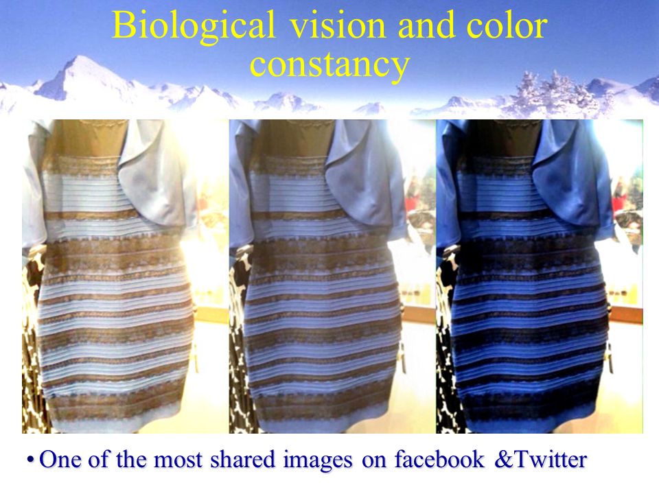 Кого цвета платье белое или синее