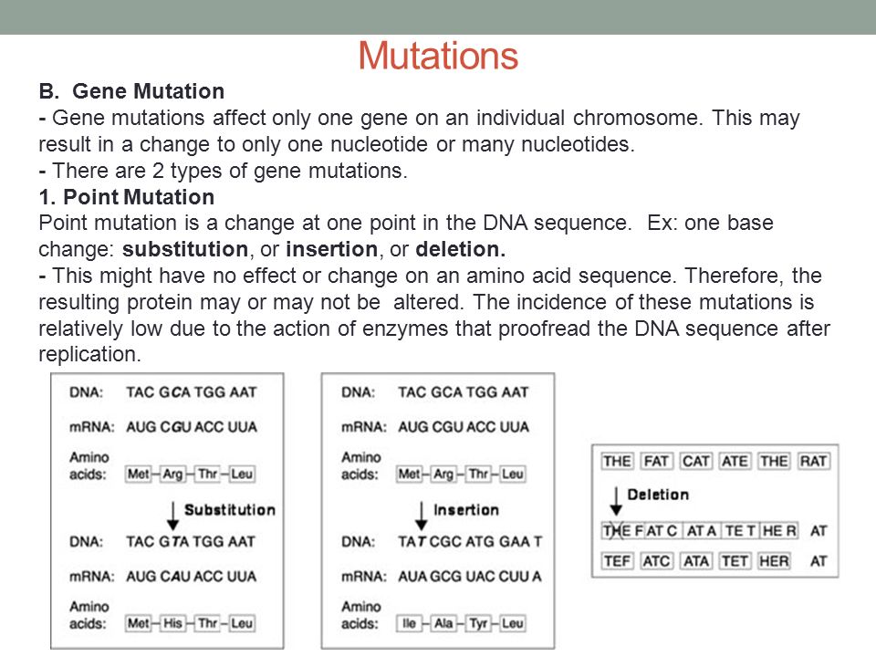 Mutations B. Gene Mutation - Gene mutations affect only one gene on an individual chromosome.