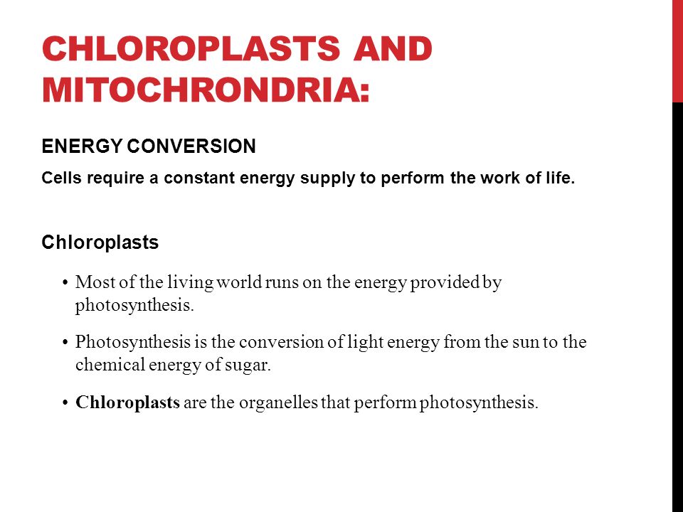 CHLOROPLASTS AND MITOCHRONDRIA: ENERGY CONVERSION Cells require a constant energy supply to perform the work of life.